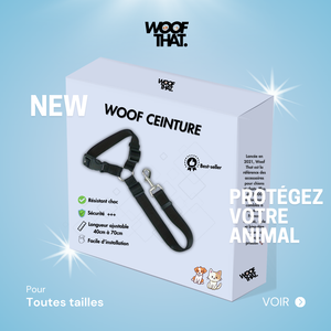 Avis client produit