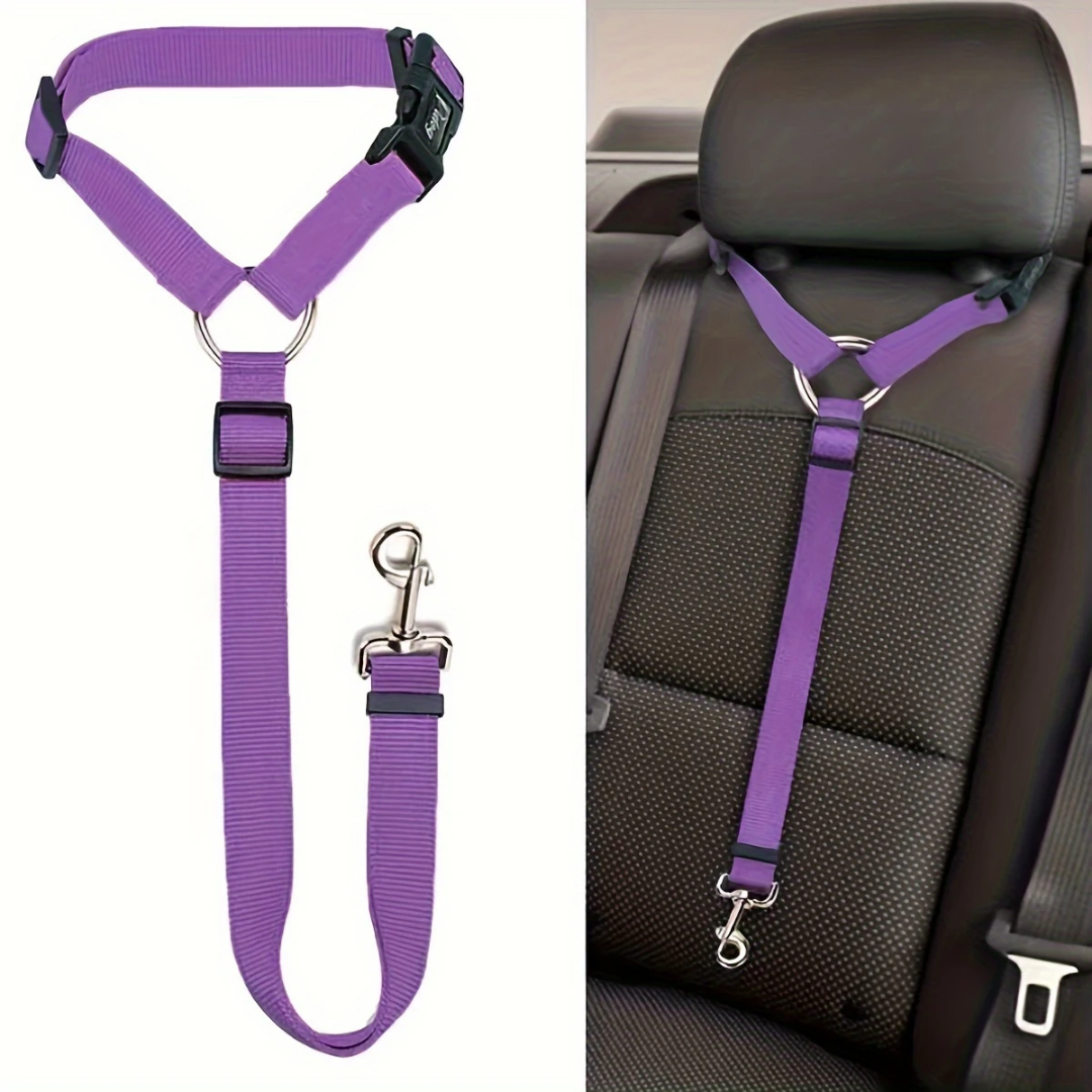WOOF CEINTURE