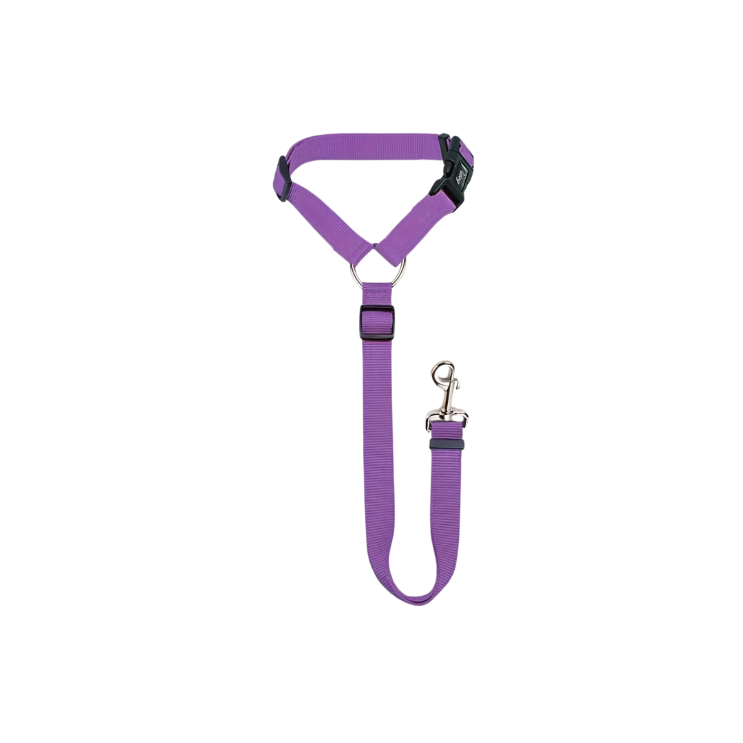 WOOF CEINTURE