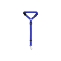 Bleu Roi