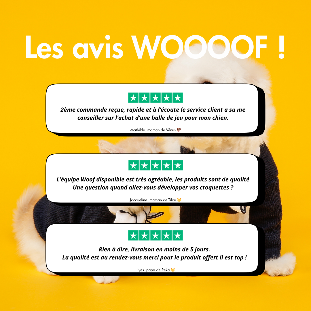 WOOF CEINTURE
